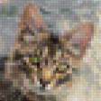 Предпросмотр схемы вышивки «Крымский горный кот. Обыкновенный.» (№1056476)