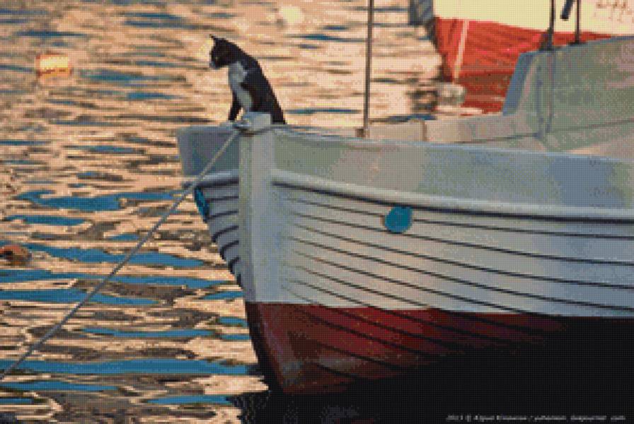 Капитан - балаклава, лодки, море, крым, севастополь, кот - предпросмотр