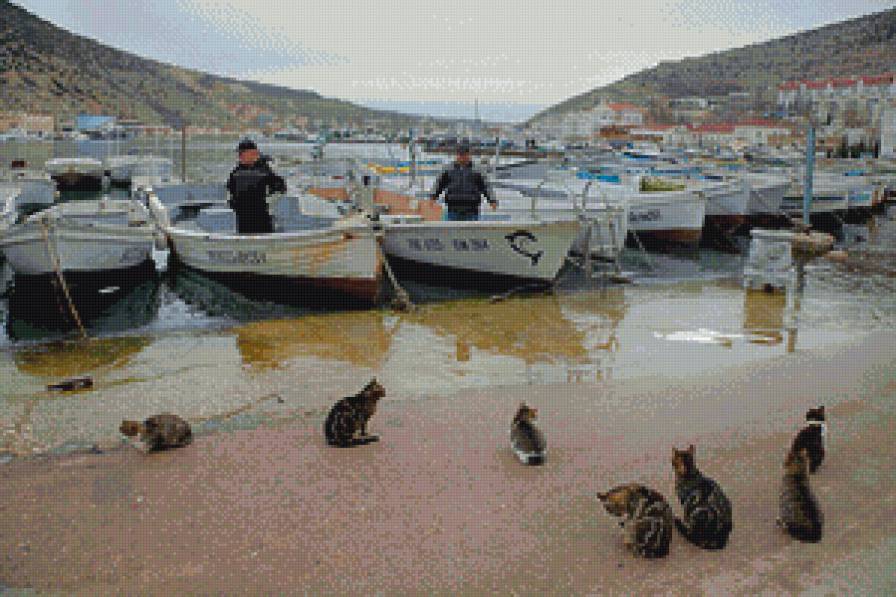 Рыбнадзор - рыбаки, лодки, севастополь, коты, море, крым, балаклава, горы - предпросмотр