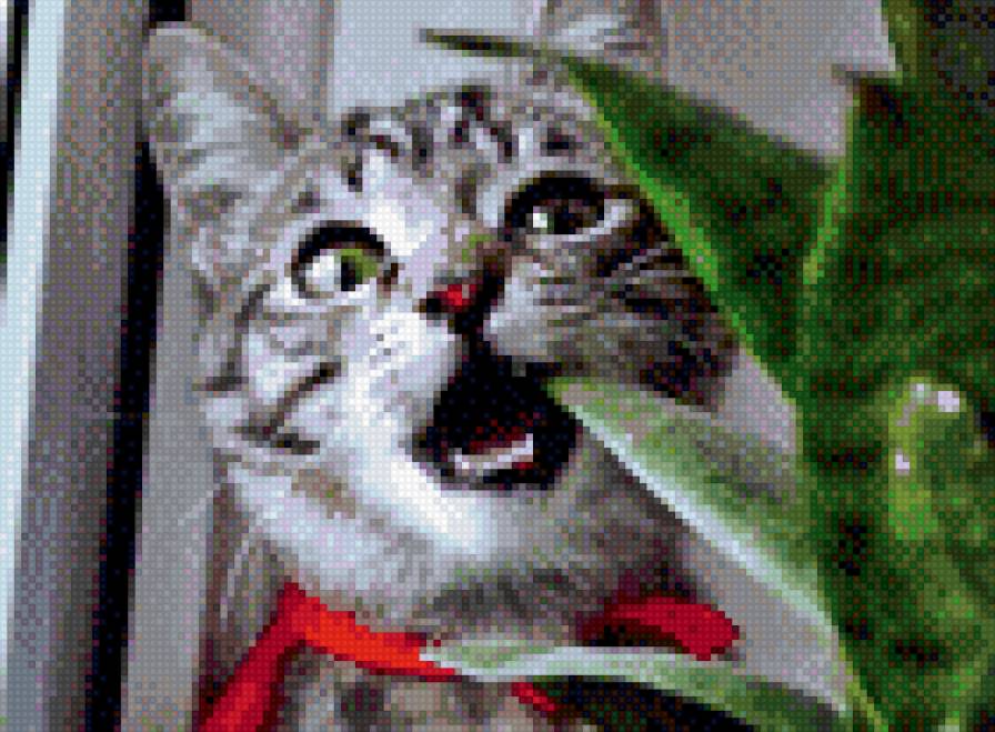 №1056658 - предпросмотр