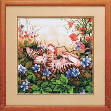 На цветочной поляне