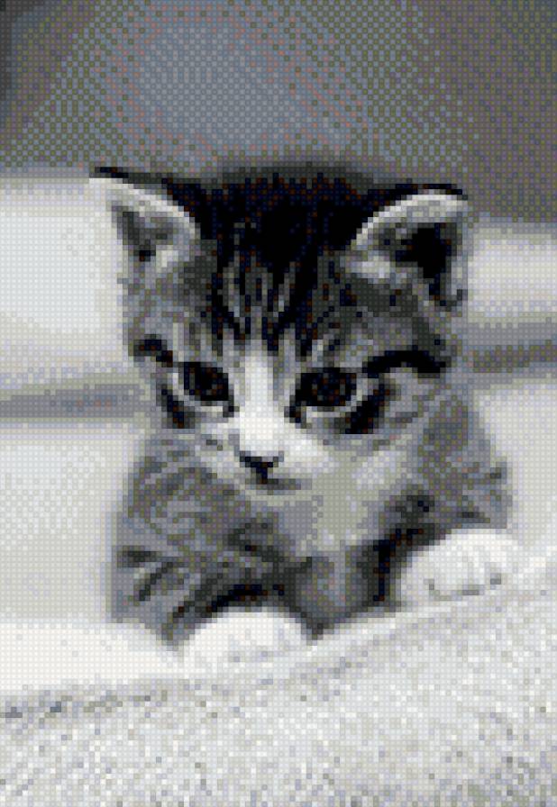 №1056940 - предпросмотр