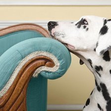 Схема вышивки «ожидание»