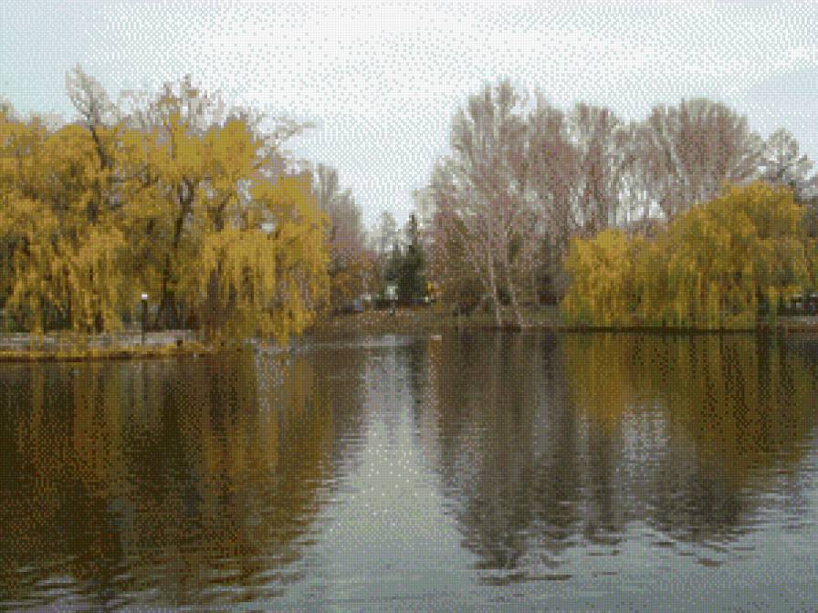 пруд с парке - вода, пруд, листья, осень, пейзаж - предпросмотр