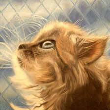 Схема вышивки «любопытство»