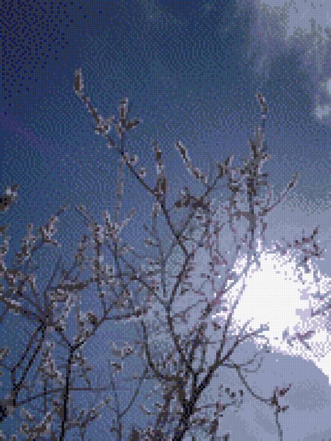 весна пришла - весна, деревья в цвету, небо - предпросмотр