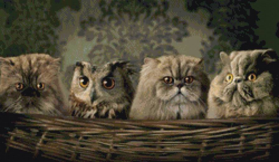 Семейка - коты, корзина, сова - предпросмотр