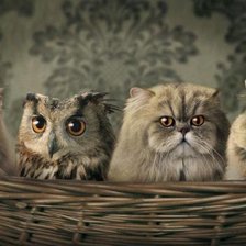 Схема вышивки «Семейка»