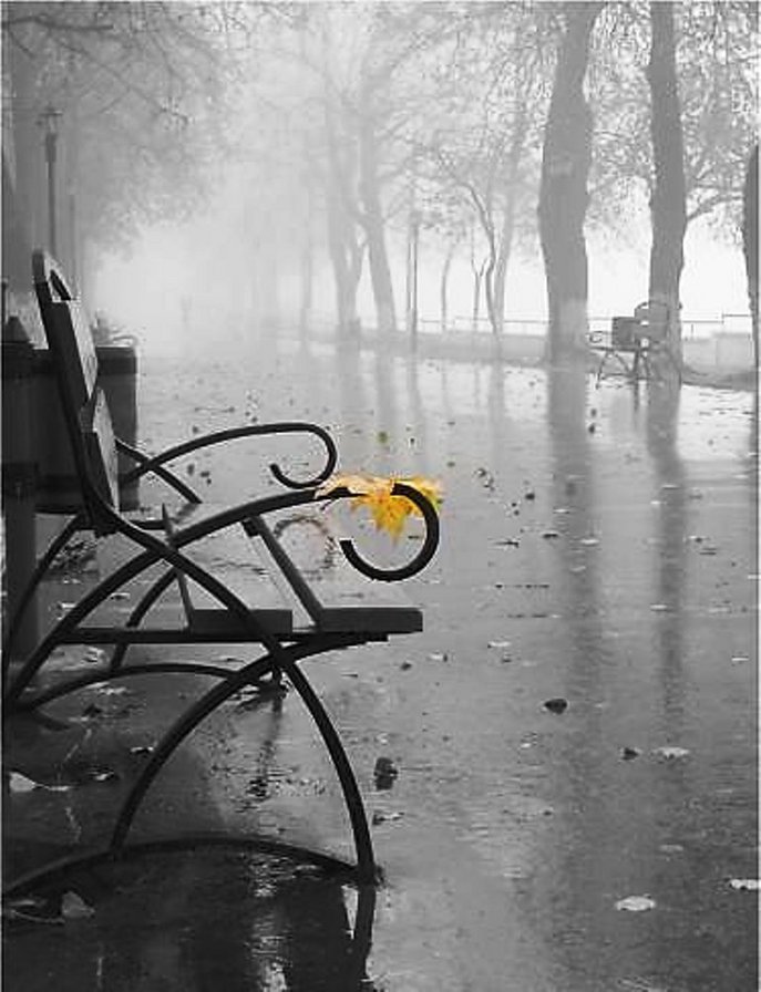 дождь в парке - оригинал