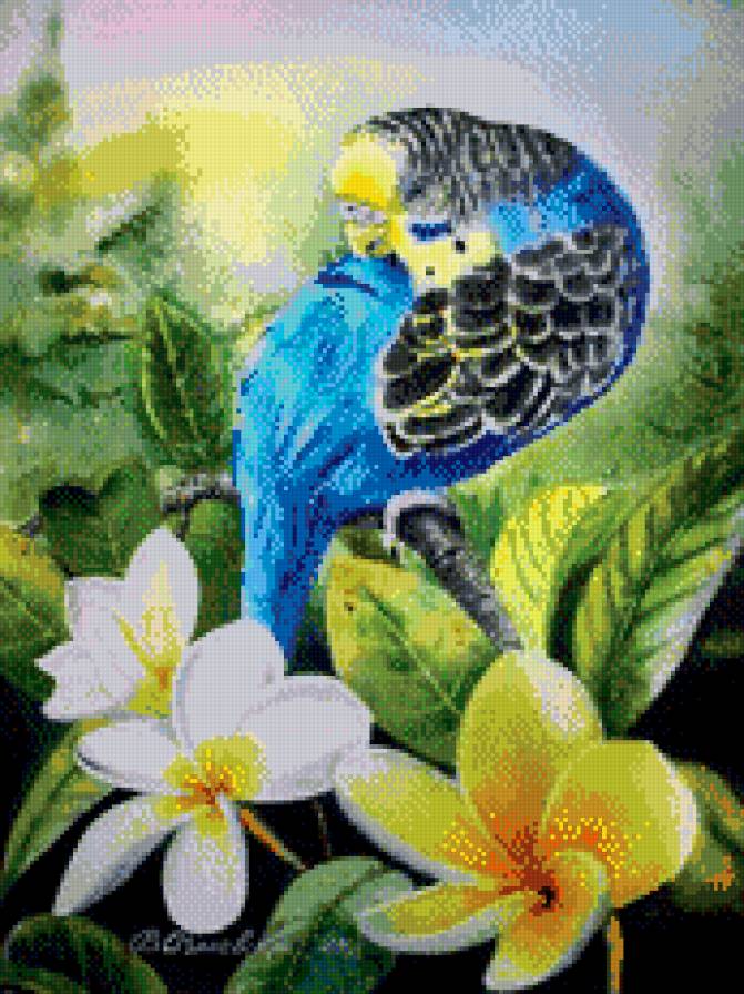 Попугай - животные, живопись, искусство, картина, птицы - предпросмотр