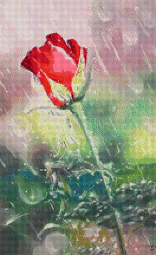 роза в дожде - искусство, картина, цветы, живопись - предпросмотр