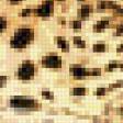Предпросмотр схемы вышивки «Леопард» (№1057828)