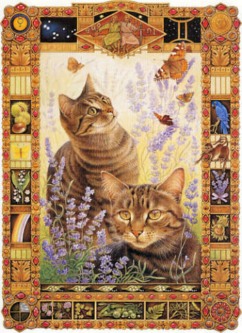 кошачий портрет - кошка, кошки, портрет, кот, близнецы, котенок, коты - оригинал