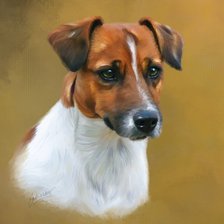 Схема вышивки «собака»