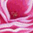 Предпросмотр схемы вышивки «Розы» (№1058297)