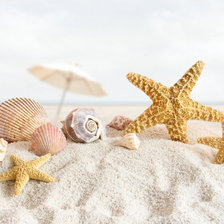 Схема вышивки «Песочный пляж»