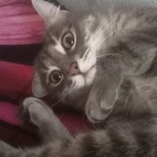 Схема вышивки «Марсик»