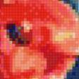 Предпросмотр схемы вышивки «Радость маков» (№1058621)