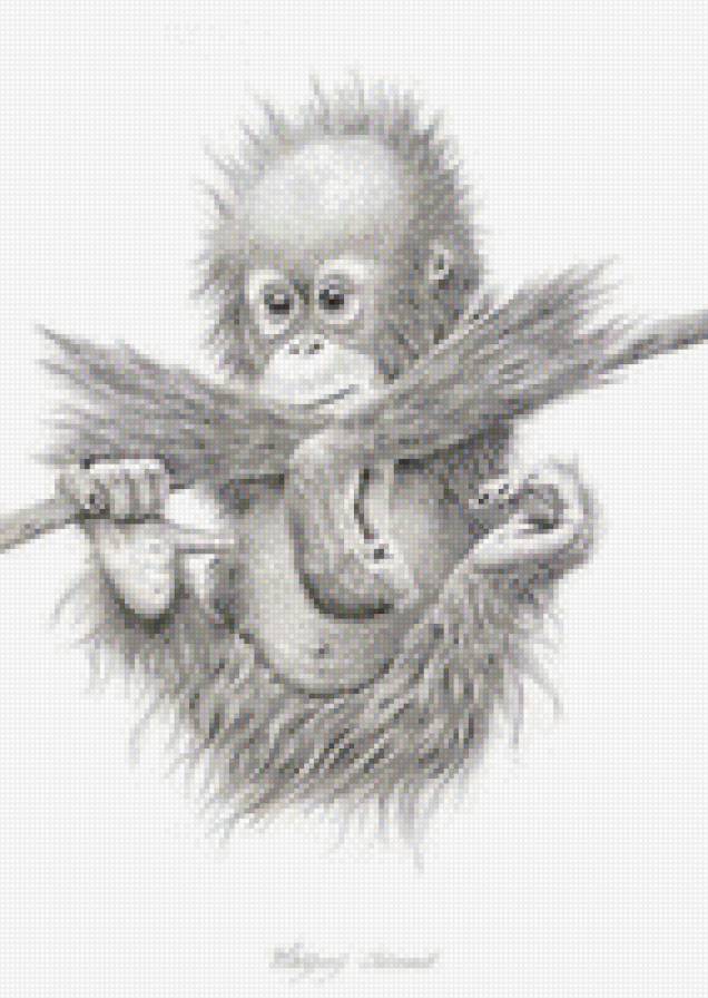 чичи - предпросмотр