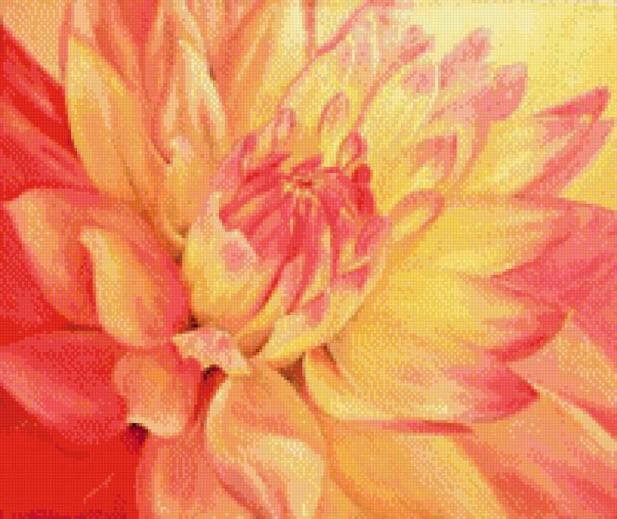 Георгин - картина, искусство, цветы, живопись - предпросмотр