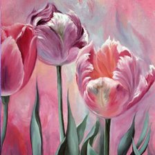 Тюльпаны 2