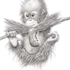 Схема вышивки «обезьянка»