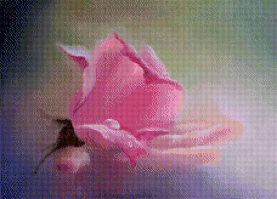 Роза на ладони - цветы, искусство, картина, живопись - предпросмотр