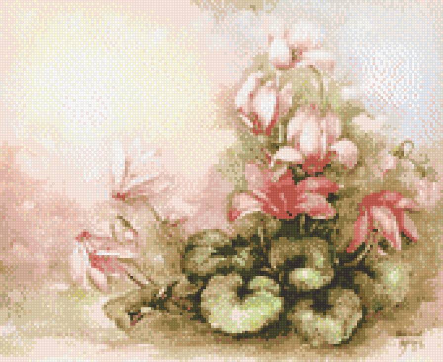 цикломен - цикломен, цветы - предпросмотр