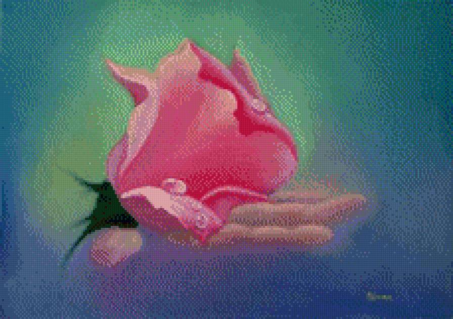 Роза на ладони 2 - разное, цветы, картина, искусство, живопись - предпросмотр