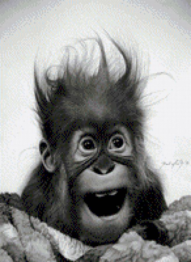 2016 - предпросмотр