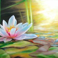 Пробуждение