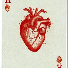 Схема вышивки «№19»