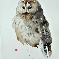 Схема вышивки «Сова»