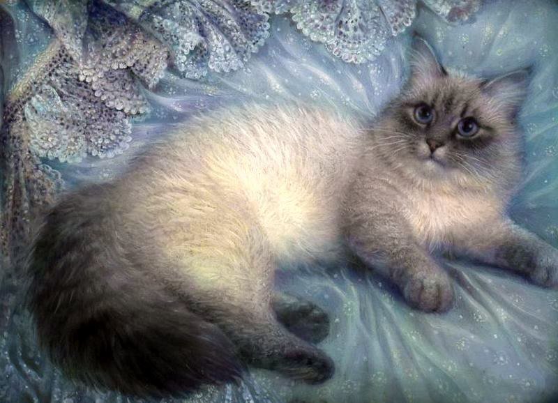 кошечки - кошечки - оригинал