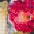 Предпросмотр схемы вышивки «Розы» (№1058958)