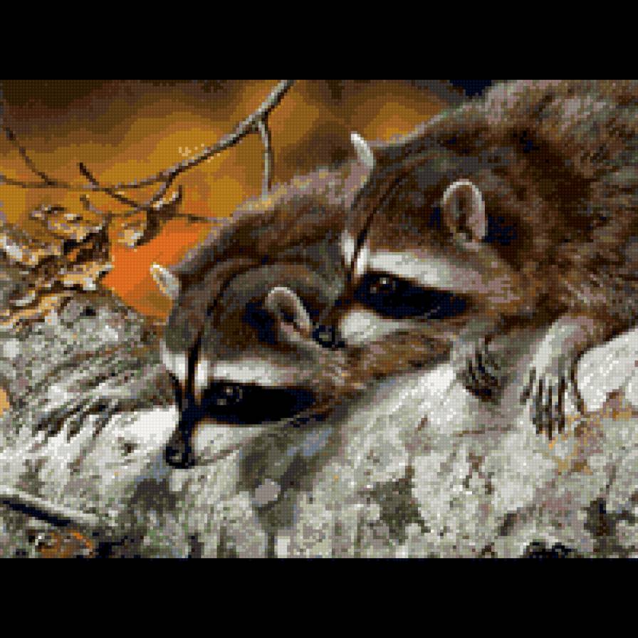 еноты - предпросмотр