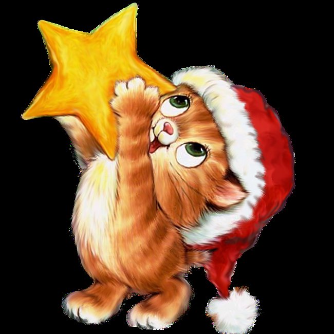 новогодний котик - звезда, новый год, котенок - оригинал