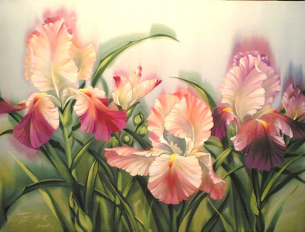 Цветы - красота, ирисы, цветы - оригинал