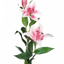 Схема вышивки «Лилии»