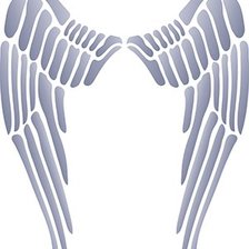 крылья ангела 80х93