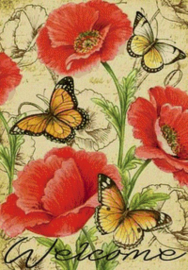 маки - цветы, маки - предпросмотр