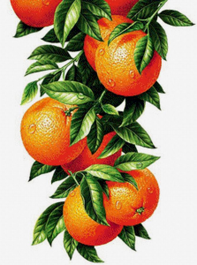 апельсины - картина, для кухни - предпросмотр