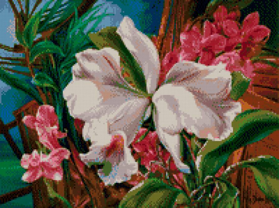 архидея белая 2 - предпросмотр