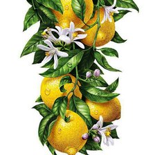 Схема вышивки «лимон и ваниль»