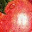 Предпросмотр схемы вышивки «яблочки» (№1060318)