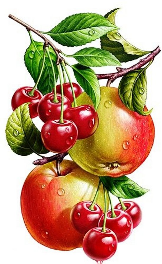 фрукты - картина, для кухни - оригинал