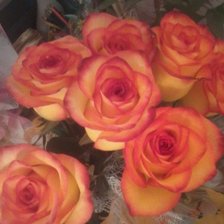 Схема вышивки «роза букет»