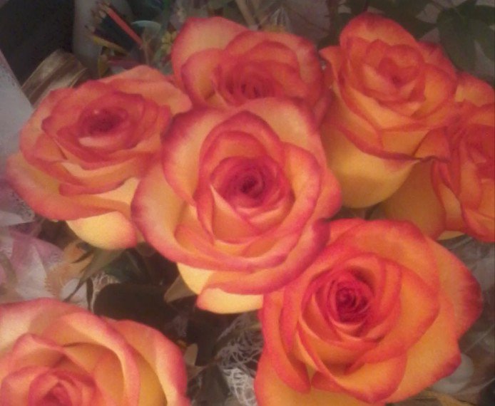 розы букет 2 - цветы, розы - оригинал