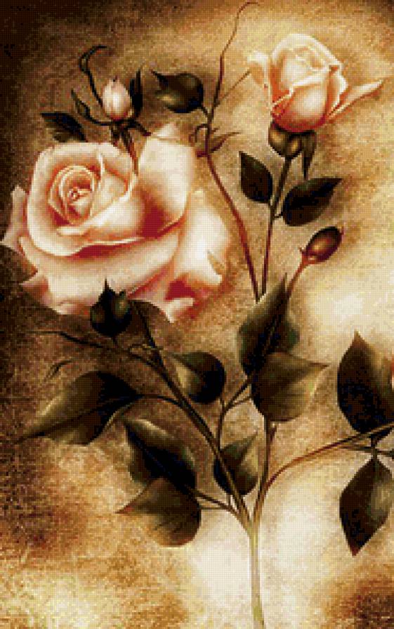 Розы - розы, роза, букет, цветы, винтаж - предпросмотр