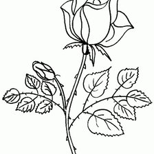 Оригинал схемы вышивки «роза» (№1061297)